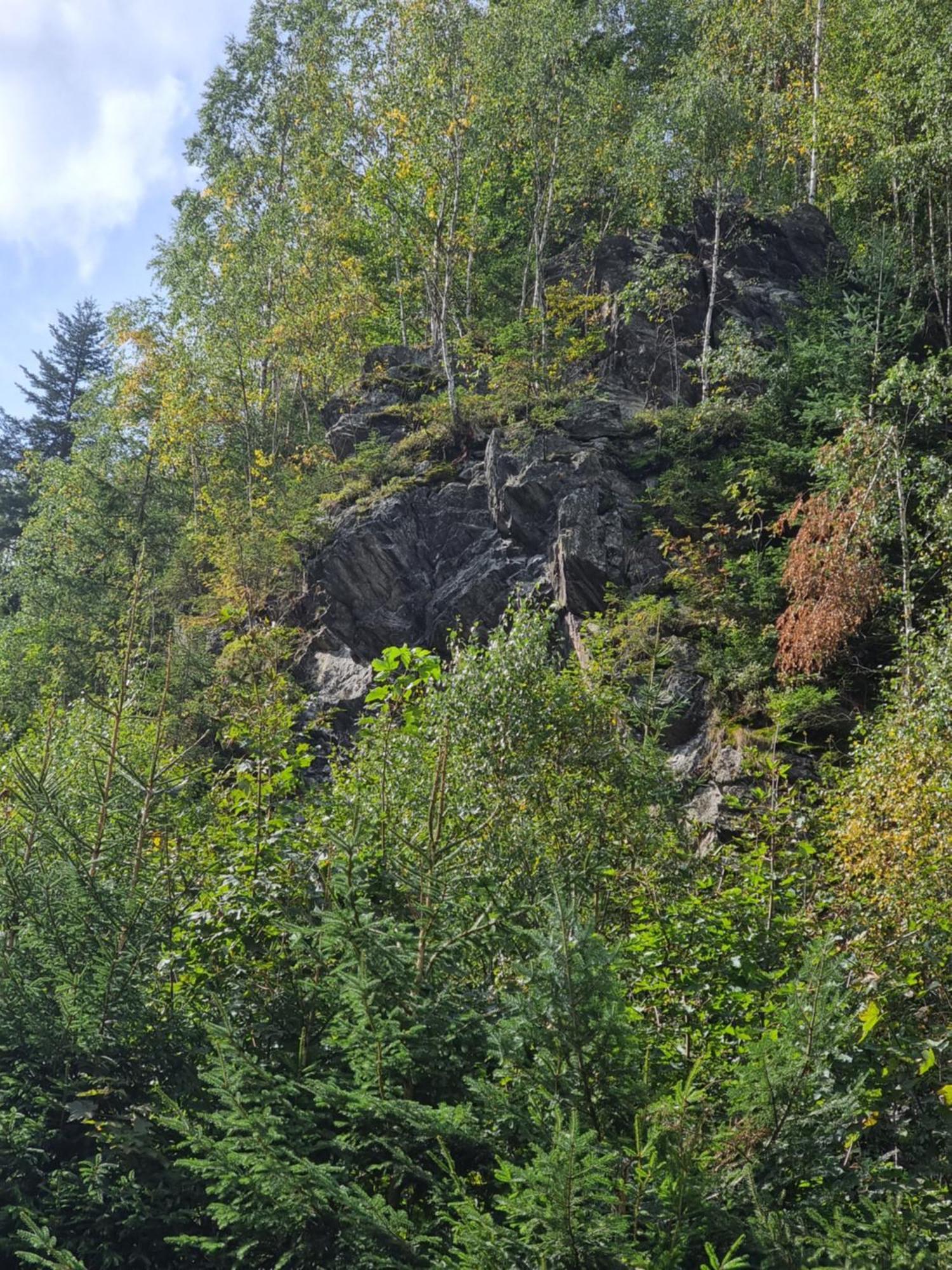 Roubenka Mlyn U Skaly Destne V Orlickych Horach Volne Terminy 5 Bytu Exterior foto