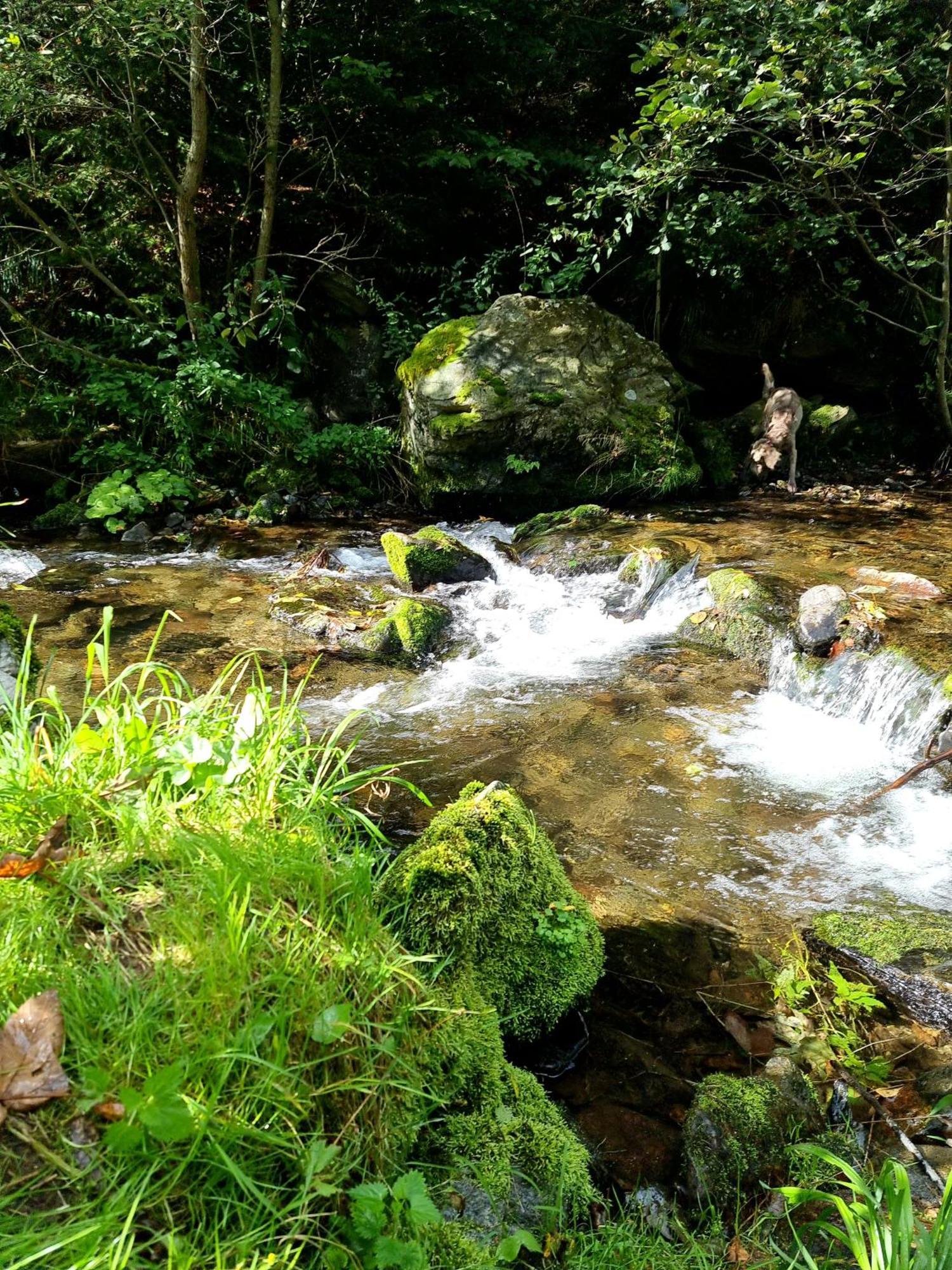 Roubenka Mlyn U Skaly Destne V Orlickych Horach Volne Terminy 5 Bytu Exterior foto