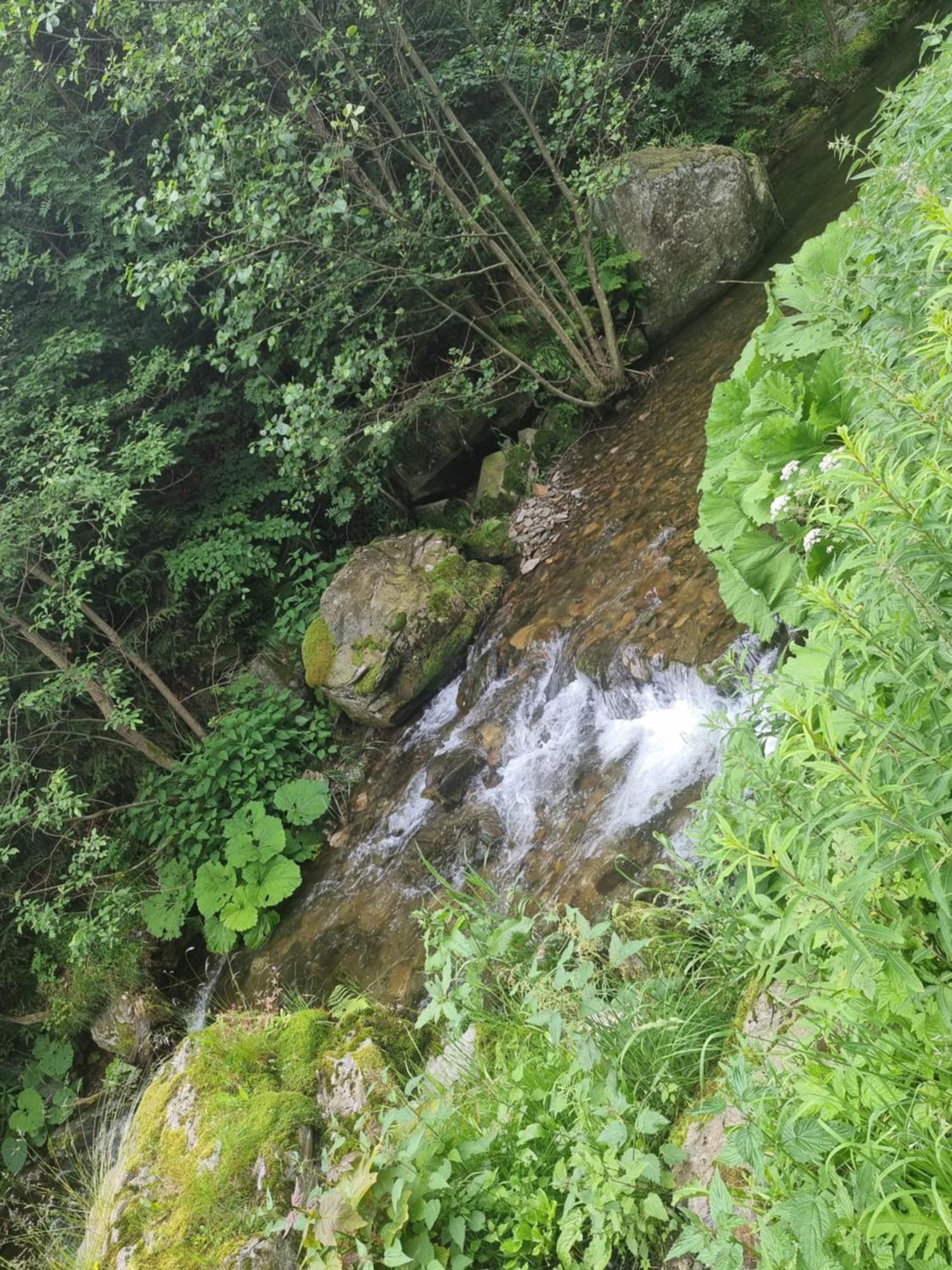 Roubenka Mlyn U Skaly Destne V Orlickych Horach Volne Terminy 5 Bytu Exterior foto